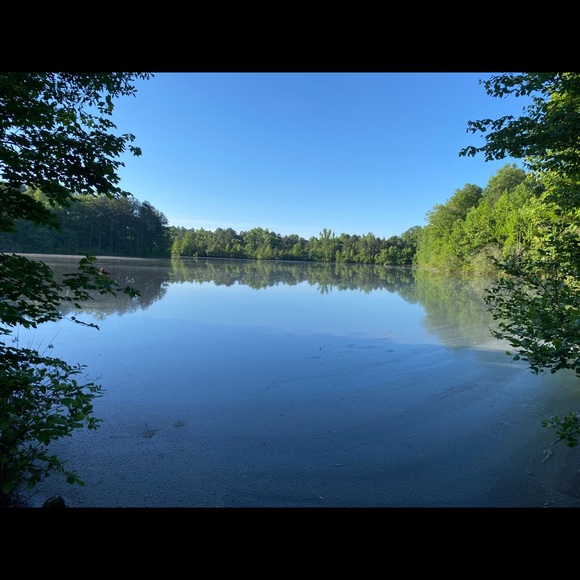 Meet your Posher, Malaika - Picture 2 of 2